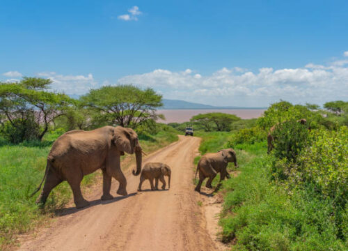 Mid-range Accommodation in Queen Elizabeth National Park