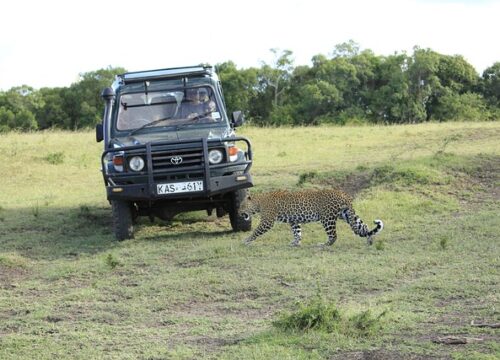 7 Days Amboseli N/P Lake Naivasha and Masai Mara N/R Budget Tour